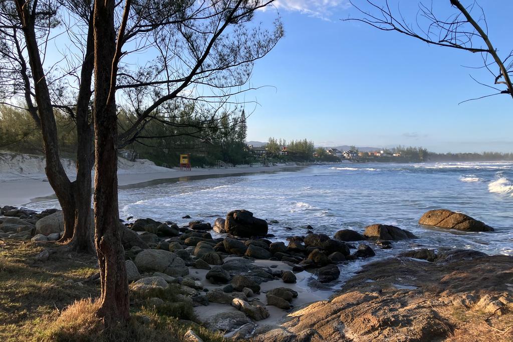 Rocky beach shoreline framed by pine trees, with waves rolling in and houses visible along the coast under clear blue sky