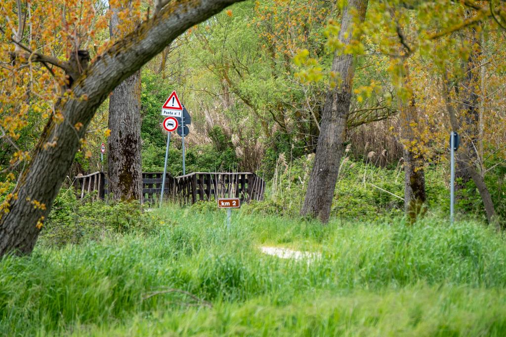 A narrow dirt trail surrounded by lush green vegetation, with a traffic sign and a rustic wooden bridge visible through the trees.