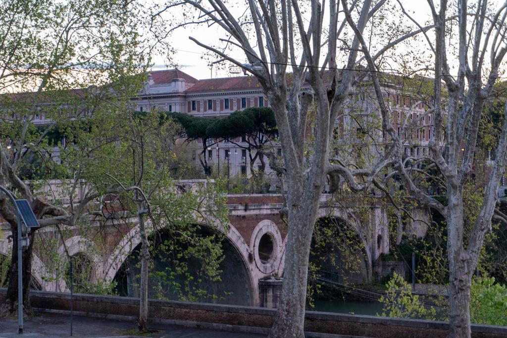A Roman stone bridge with arched spans over the Tiber River, framed by bare plane trees in the foreground and a large historic building visible on the far bank at dusk.