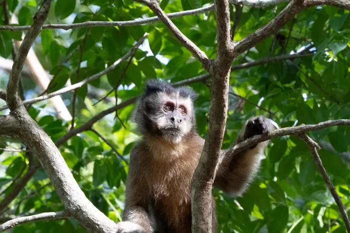 Rio Doce State Park