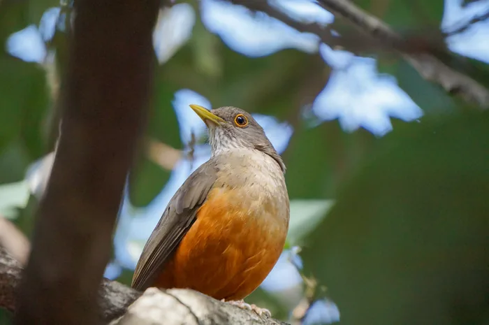 The Beginning of a Naturalist Journey